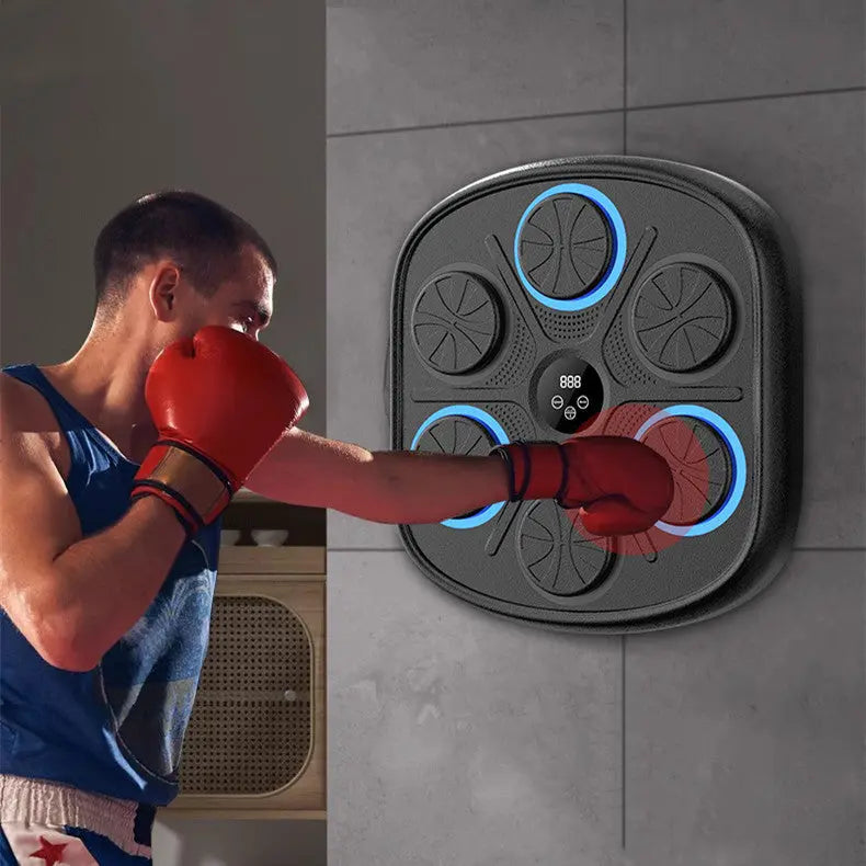 Music Boxing Target Training Wall Target Fitness Equipment Edelduft